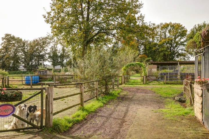 Foto 37 van Zeelandseweg 41