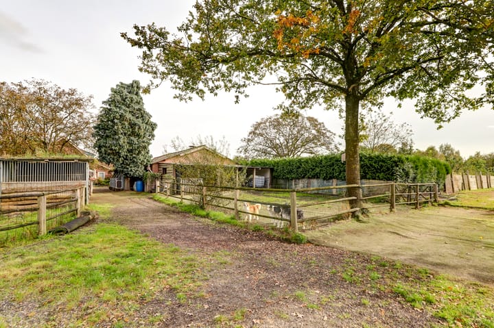 Foto 38 van Zeelandseweg 41