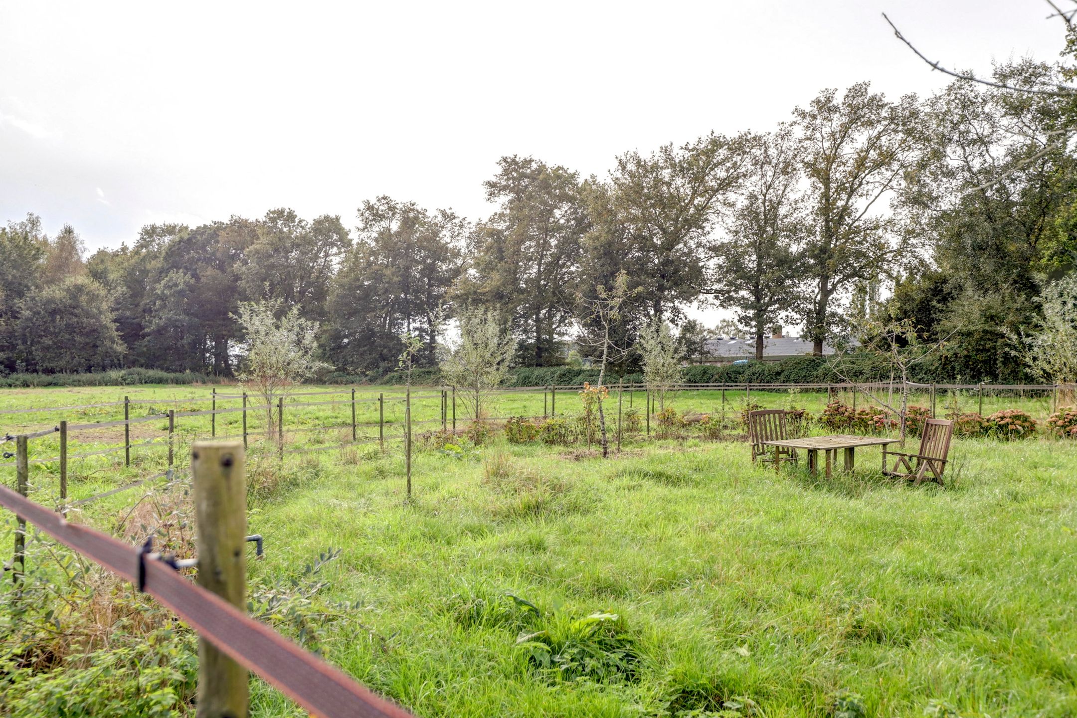 Photo 39 of Zeelandseweg 41