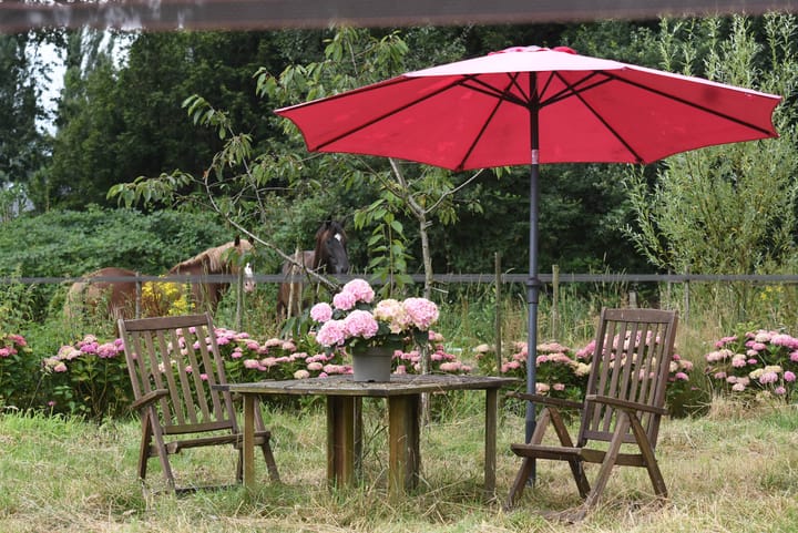 Foto 40 van Zeelandseweg 41