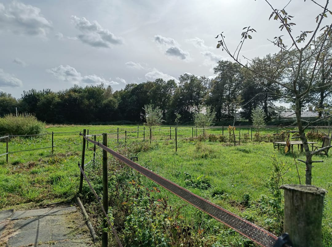 Photo 41 of Zeelandseweg 41
