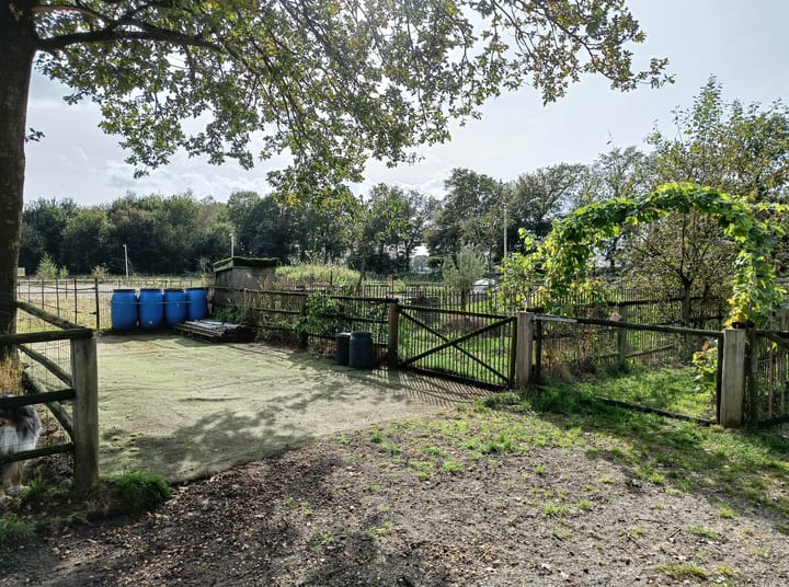 Foto 42 van Zeelandseweg 41