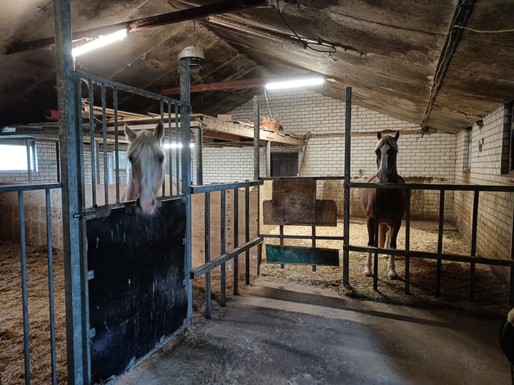 Foto 48 van Zeelandseweg 41