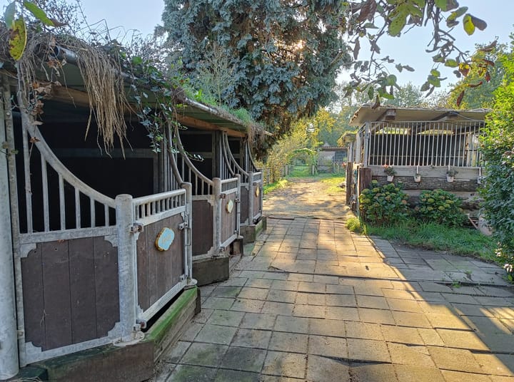 Foto 34 van Zeelandseweg 41