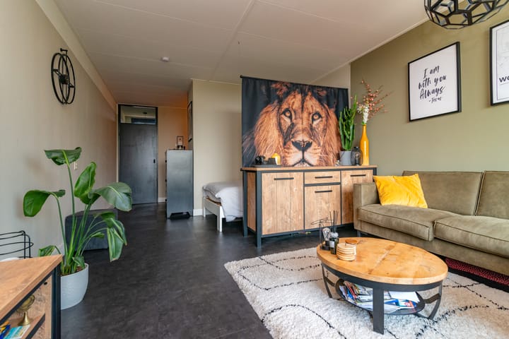 Foto 9 van Van der Hagenstraat 925