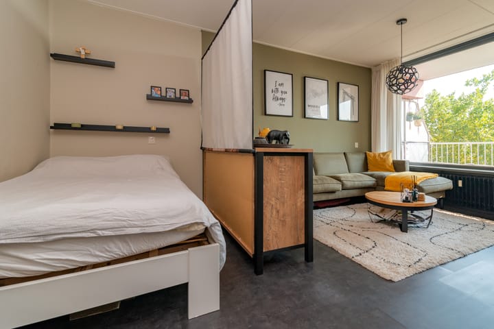 Foto 13 van Van der Hagenstraat 925