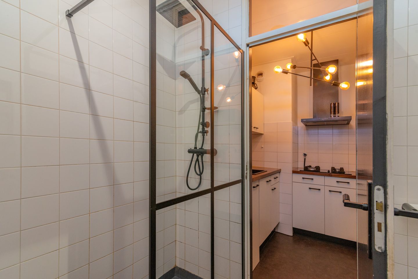 Foto 19 van Van der Hagenstraat 925