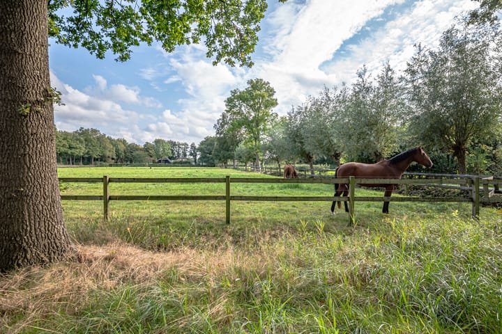 Foto 15 van Oosteinde 65B