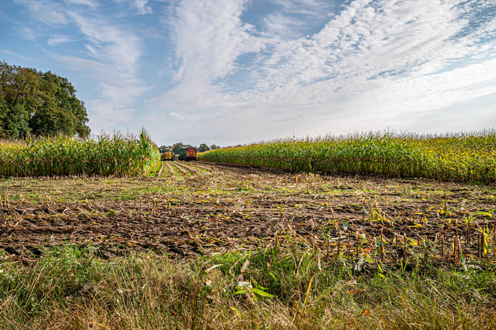 Foto 17 van Oosteinde 65B