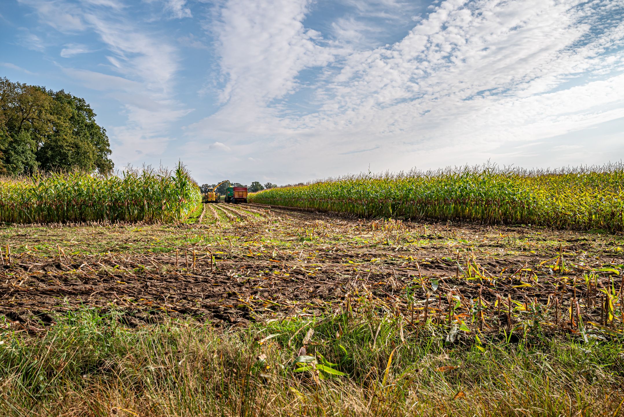 Photo 15 of Oosteinde 65C