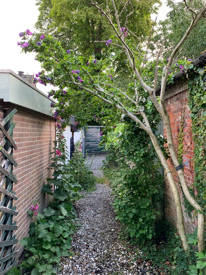 Foto 38 van Gedempte Appelhaven 18