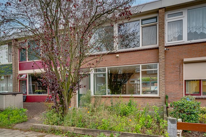 Bekijk foto 1 van Graaf Reinoutstraat 23