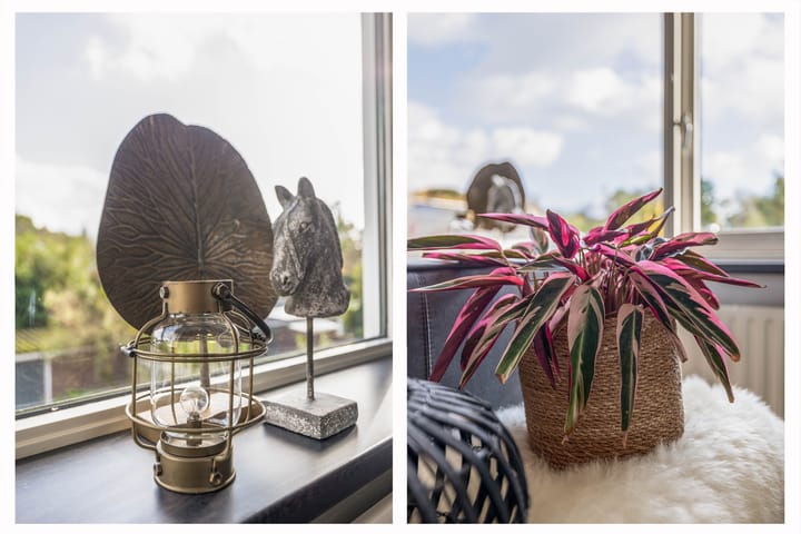 Foto 24 van Frits Zernikelaan 14