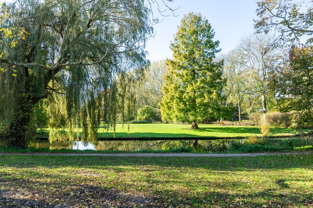 Foto 46 van Hof van Delftlaan 30