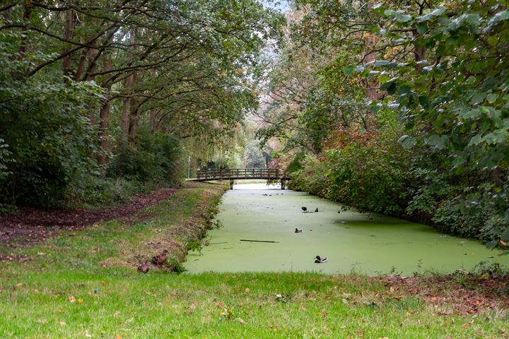 Bekijk foto 49 van Lijster 43