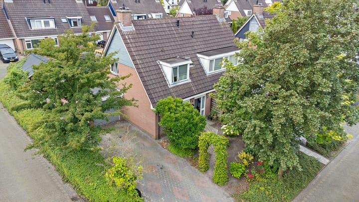 Foto 5 van Reidplom 1