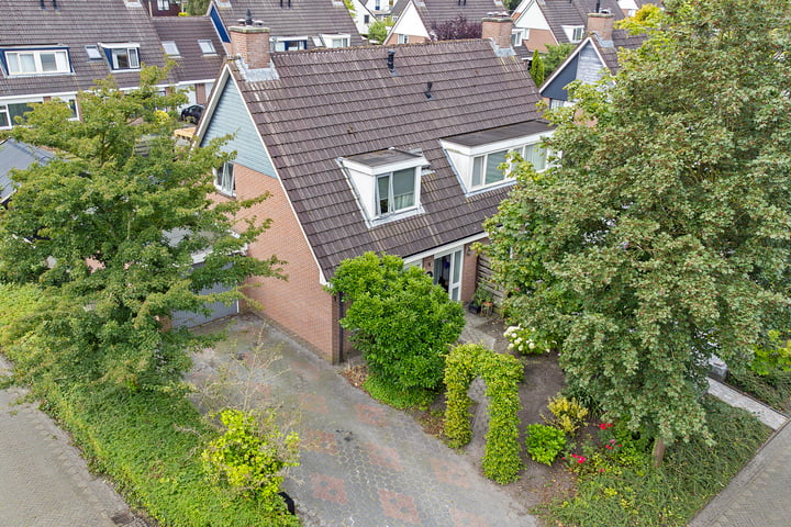 Foto 5 van Reidplom 1