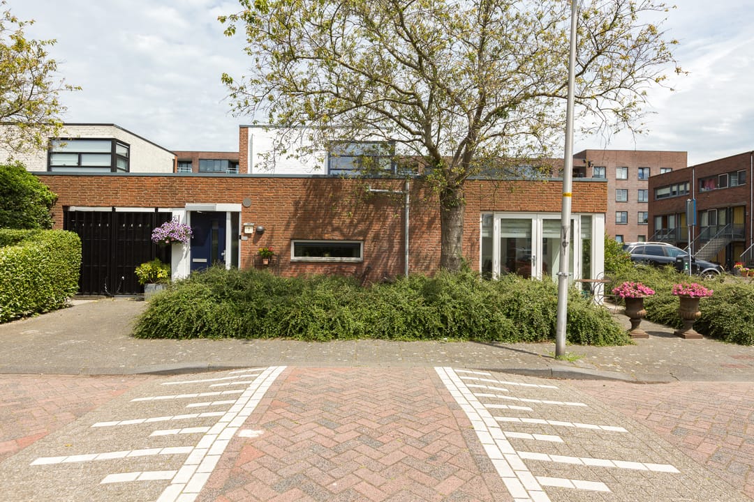 Foto 1 van Amaryllistuin 7