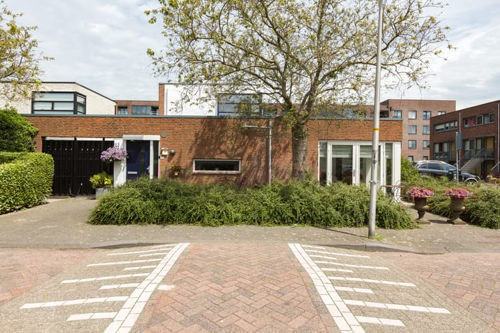 Foto 1 van Amaryllistuin 7