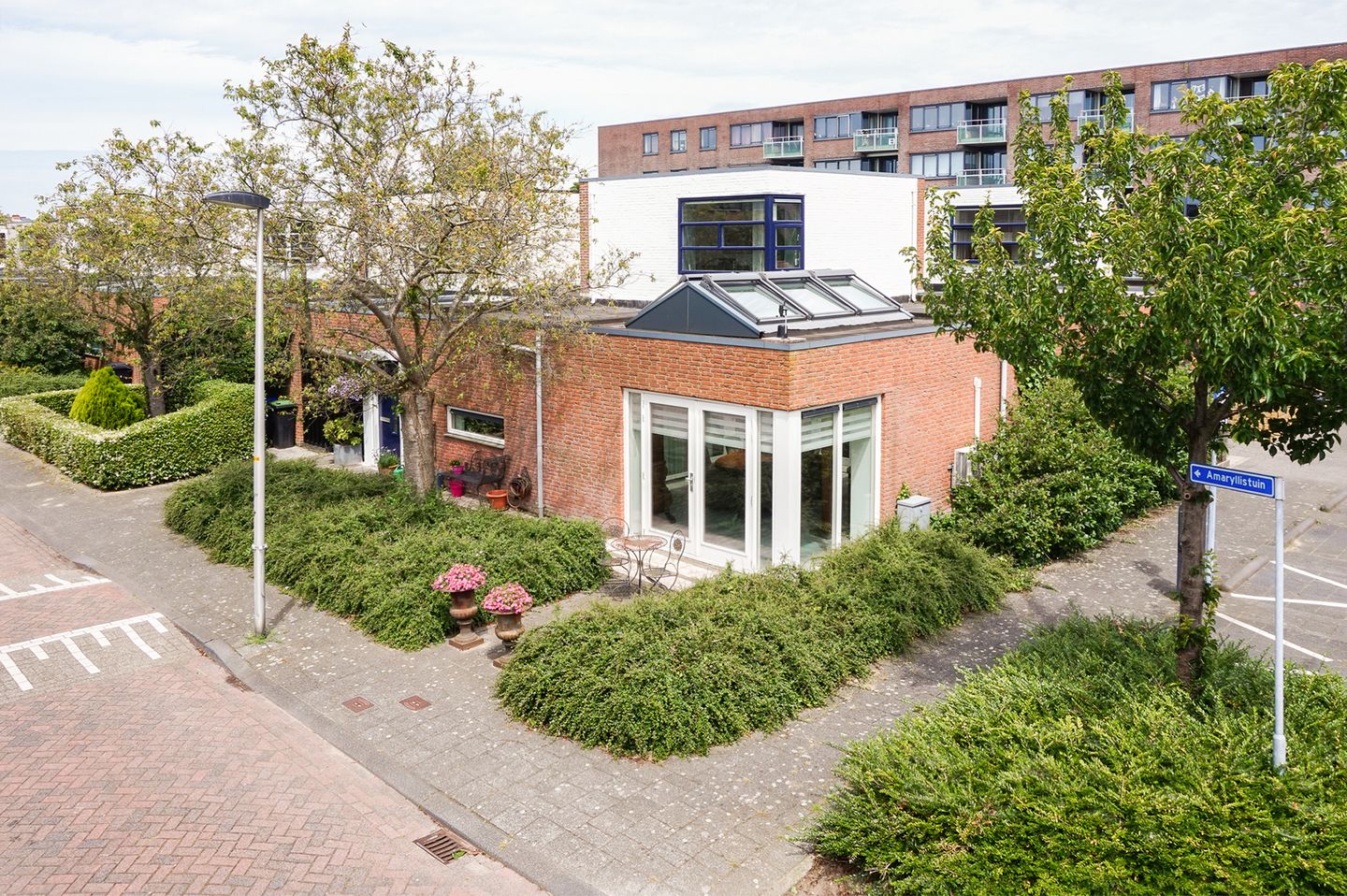 Foto 5 van Amaryllistuin 7