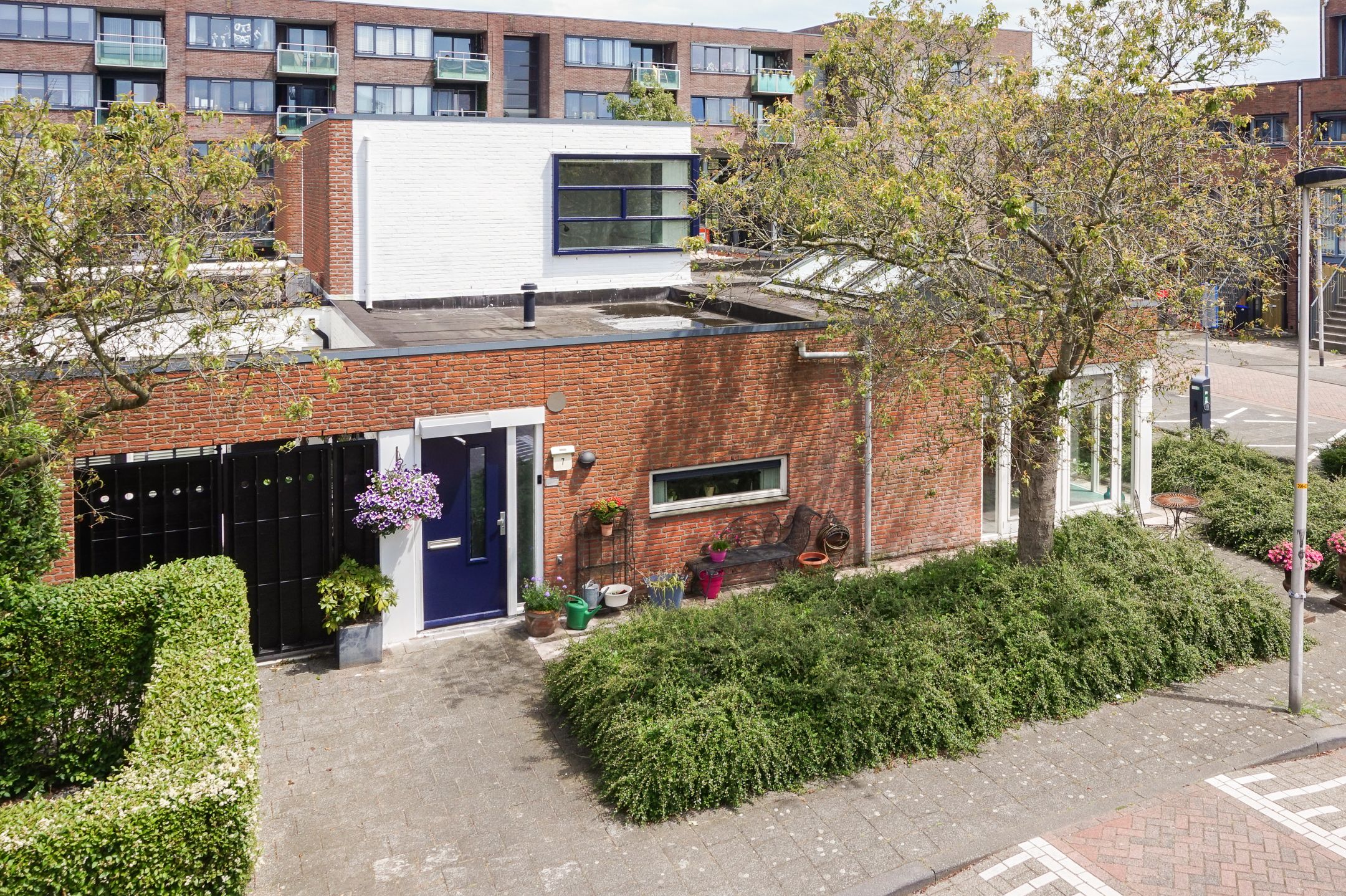 Foto 6 van Amaryllistuin 7