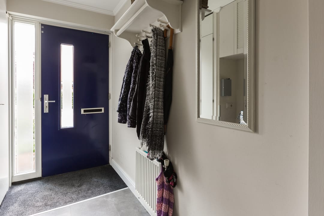 Foto 7 van Amaryllistuin 7