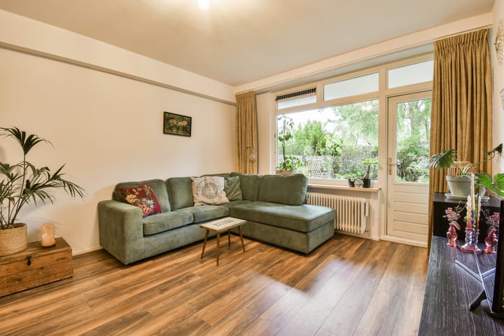 Foto 3 van Bolestein 696