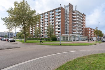 Rotterdamsedijk thumbnail