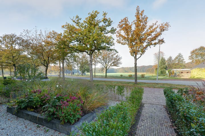 Foto 55 van Beilerstraat 221