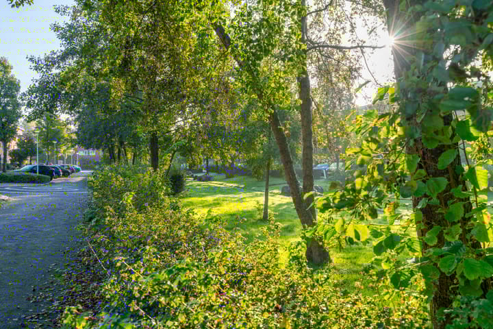 Foto 48 van Bovenpolder 39