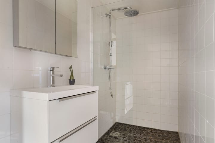 Foto 19 van Magna Petestraat 13-A