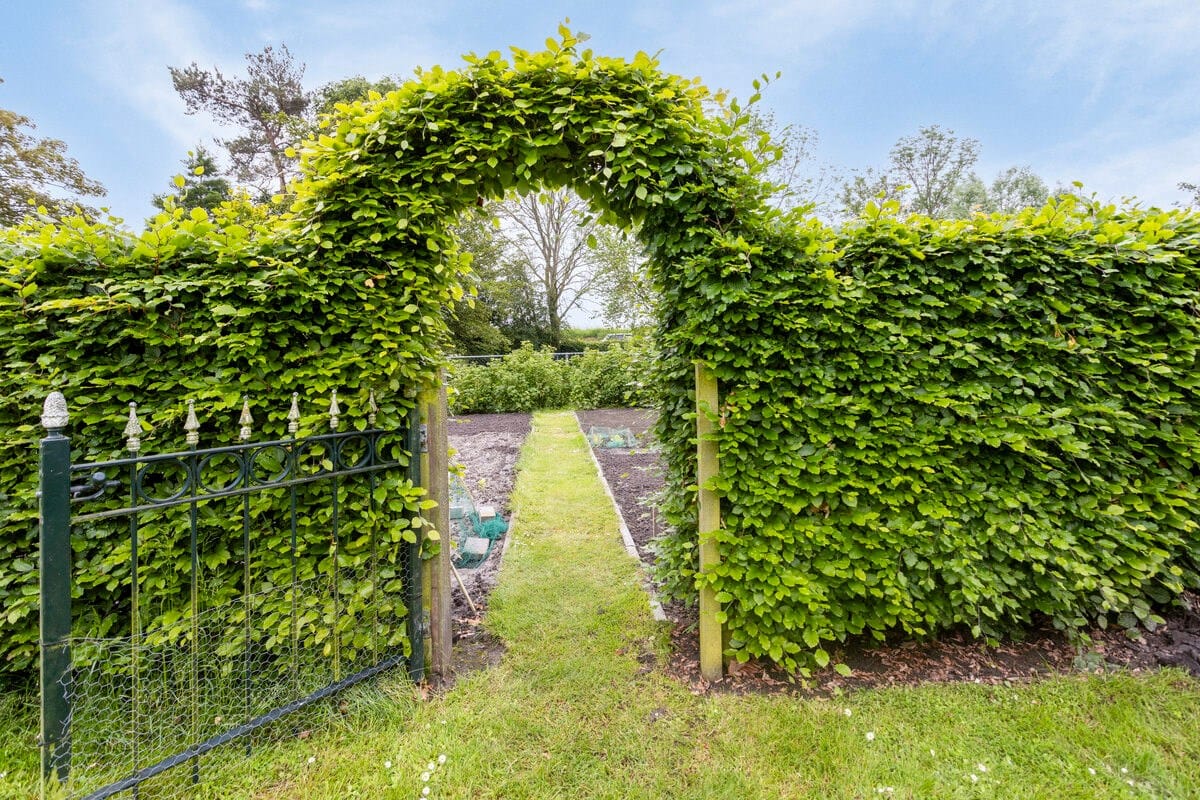 Foto 29 van Turkeijeweg 27