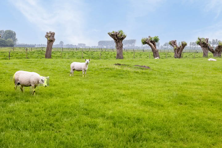 Foto 31 van Turkeijeweg 27