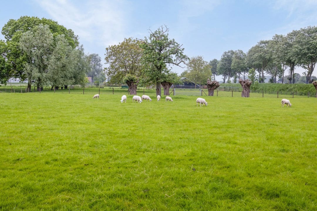 Foto 32 van Turkeijeweg 27