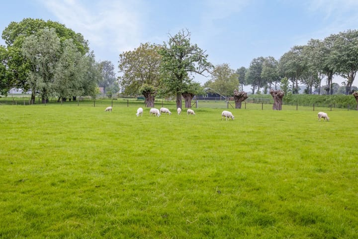 Foto 32 van Turkeijeweg 27