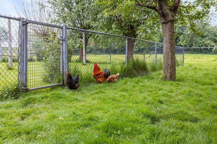 Bekijk foto 33 van Turkeijeweg 27