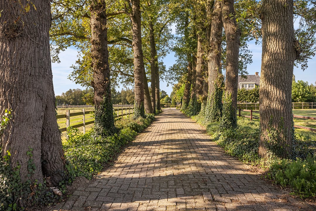 Foto 8 van Pierinkdijk 3