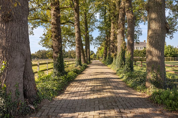 Foto 8 van Pierinkdijk 3