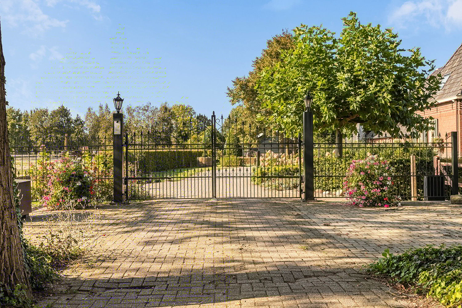 Foto 9 van Pierinkdijk 3