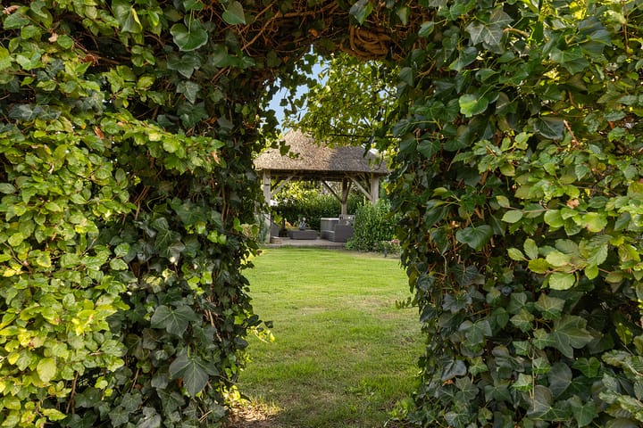 Foto 19 van Pierinkdijk 3