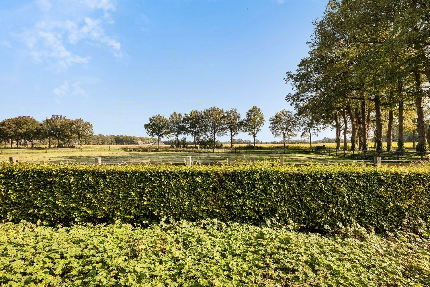 Foto 48 van Pierinkdijk 3