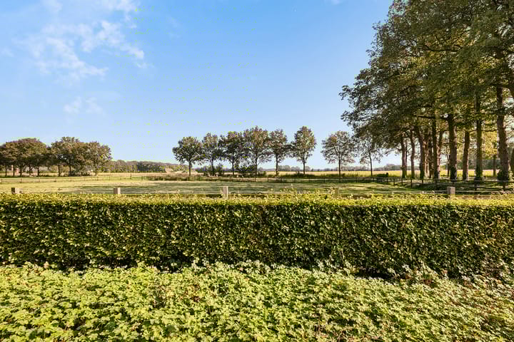 Foto 48 van Pierinkdijk 3