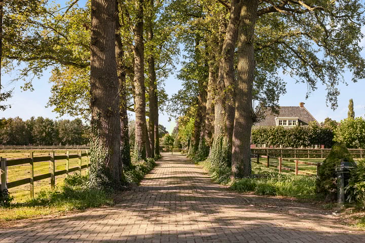 Foto 53 van Pierinkdijk 3