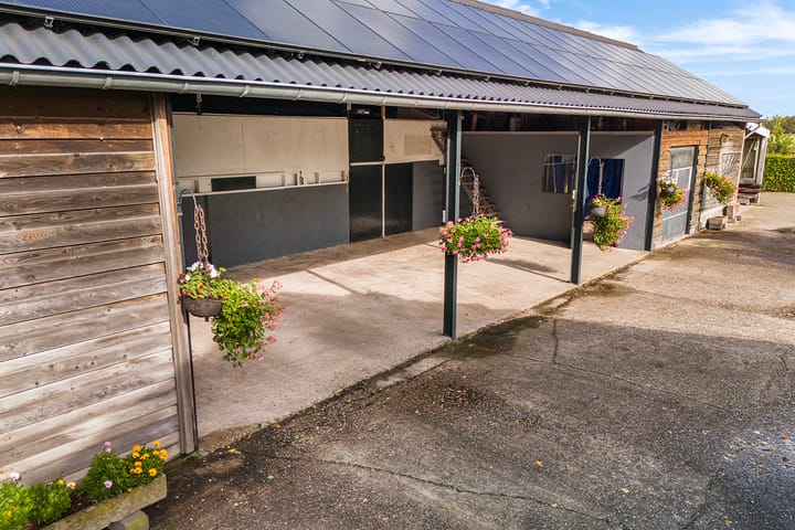 Foto 85 van Pierinkdijk 3