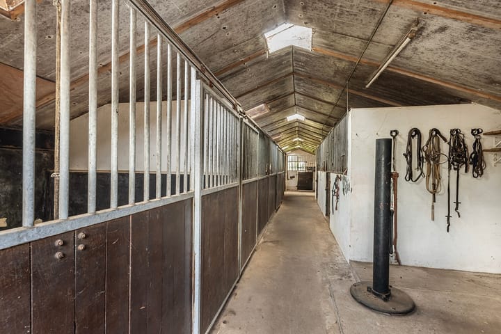 Foto 89 van Pierinkdijk 3