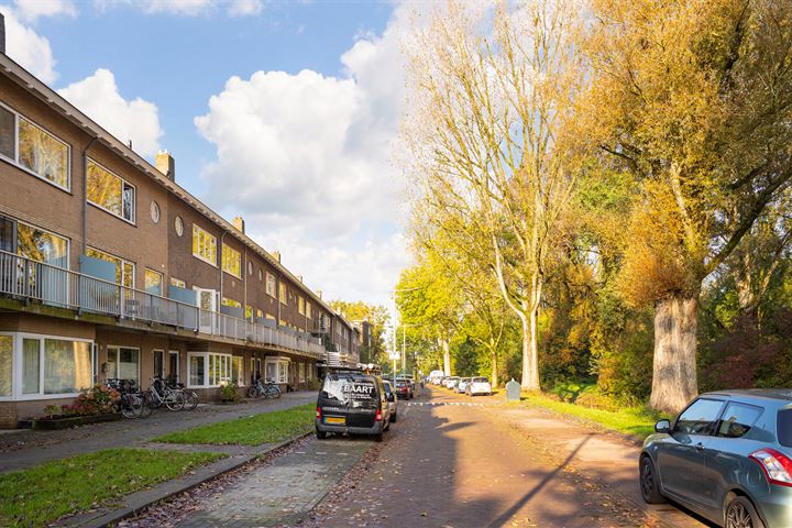 Bekijk foto 28 van Veerpolderstraat 54