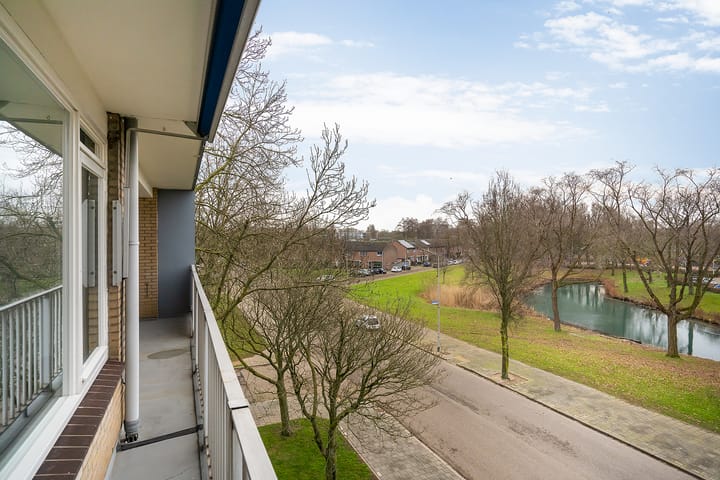 Foto 15 van Lankforst 1102