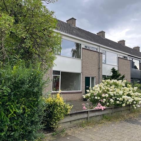 Ruigezandplantsoen 18