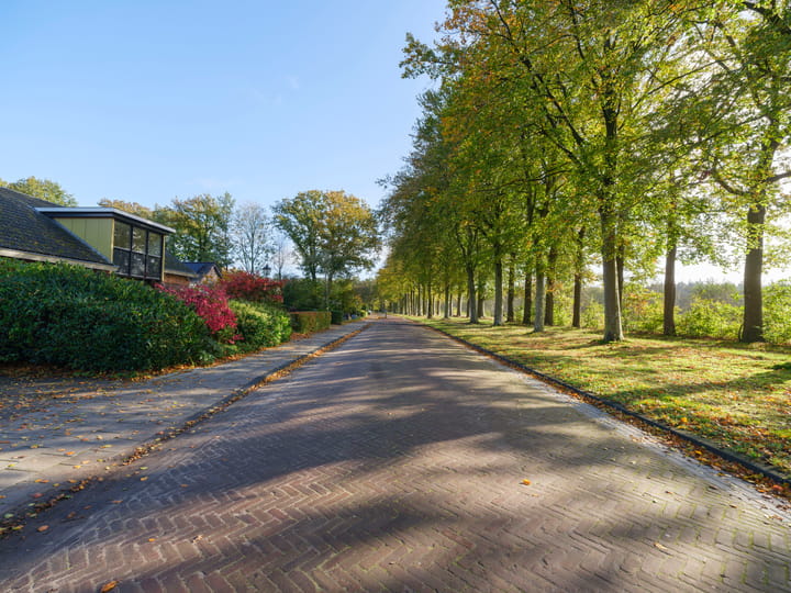 Foto 5 van De Walle 3