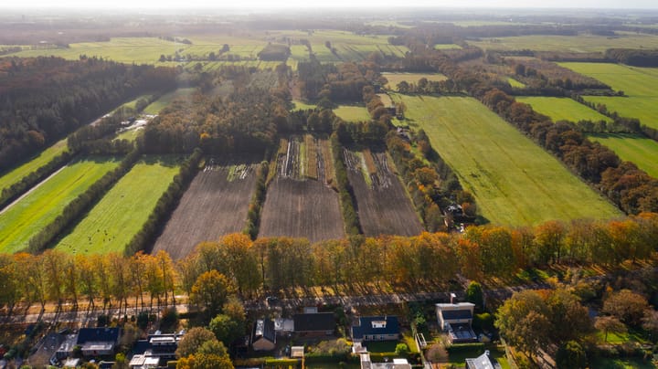 Foto 39 van De Walle 3